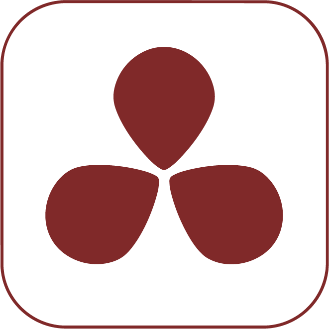 Brand icon 6